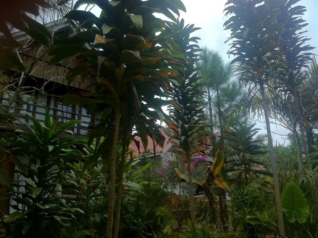 Hotel Nature Land Kalaw Exteriér fotografie